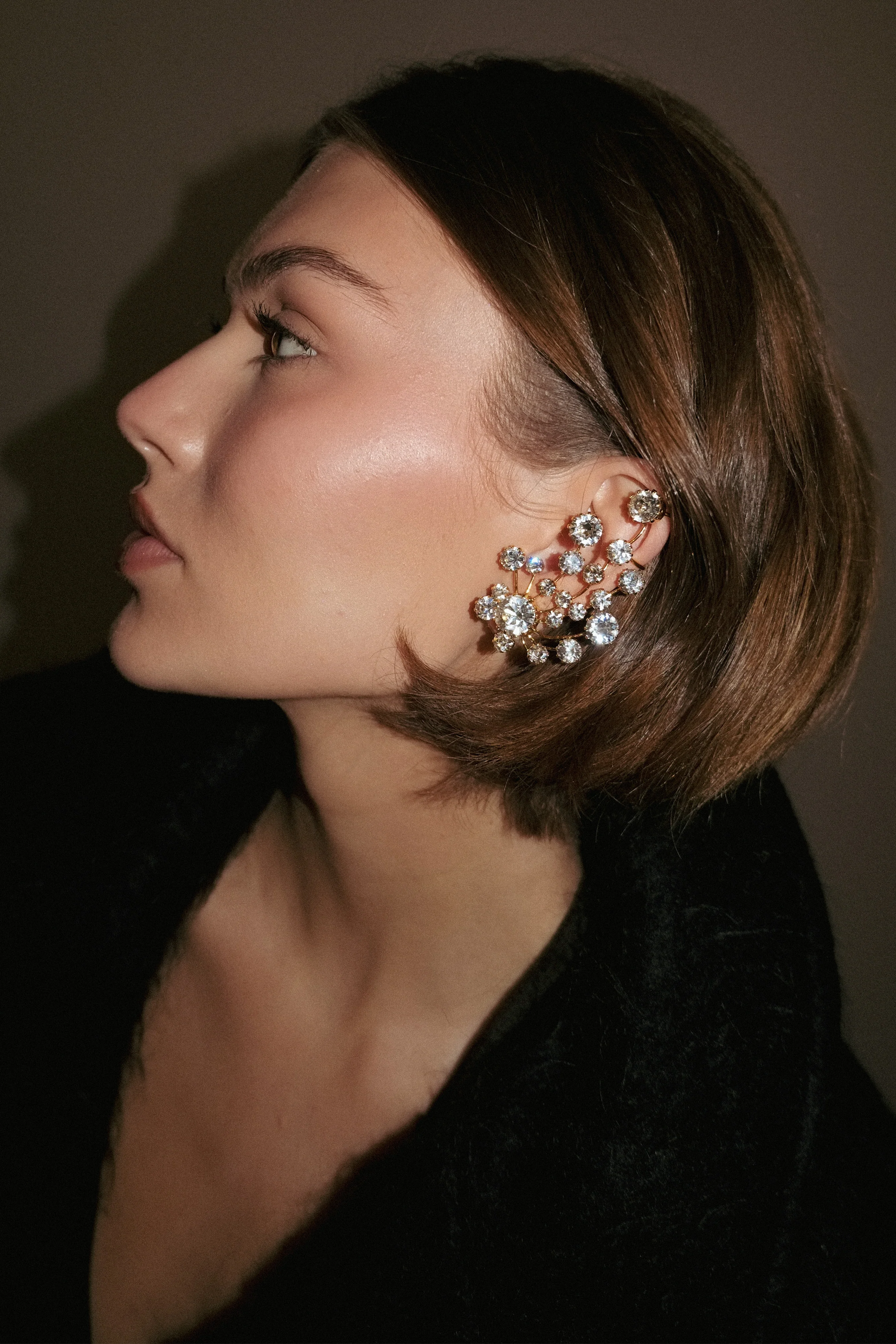 Briar Crystal Ear Cuff - Image 6